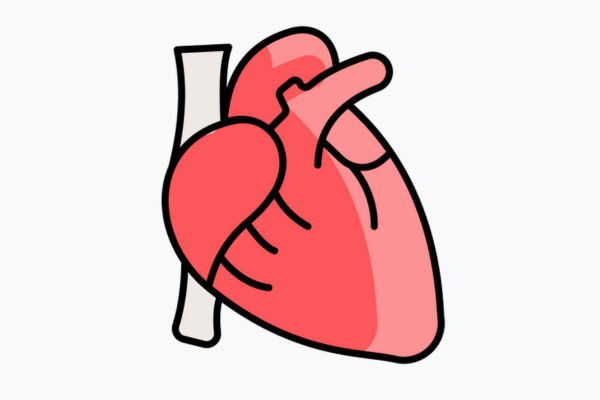 Department of Neuro-Spine & Neurosciences